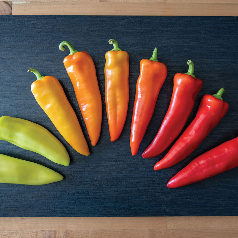 PEPPER HUNGARIAN HOT WAX