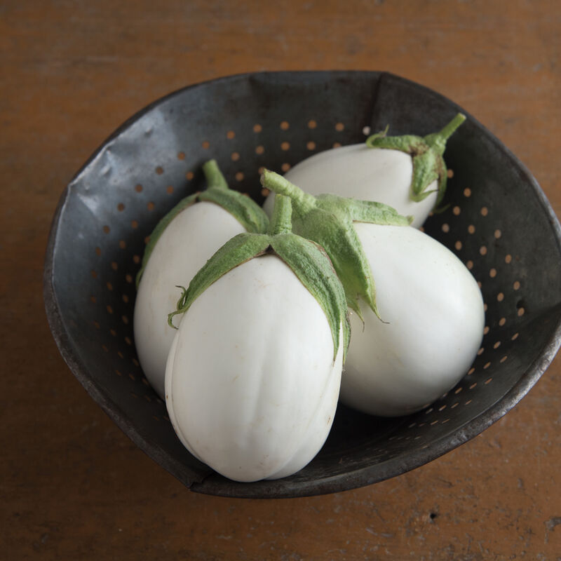 Italian Eggplant PALOMA FI
