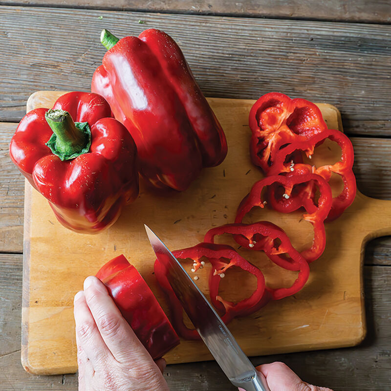 Frodo (F1) Bell Pepper