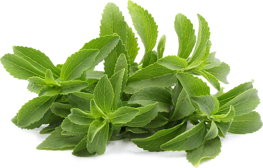 stevia