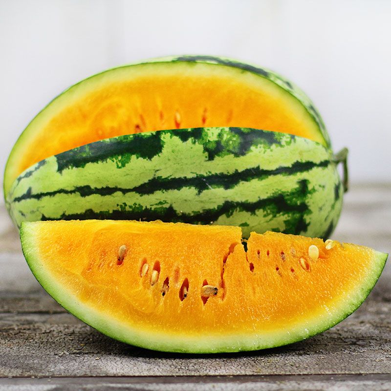 WATERMELON ORANGEGLO