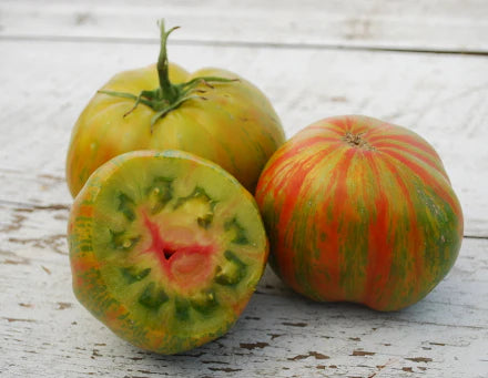 TOMATO BERKELEY TIE DYE GREEN