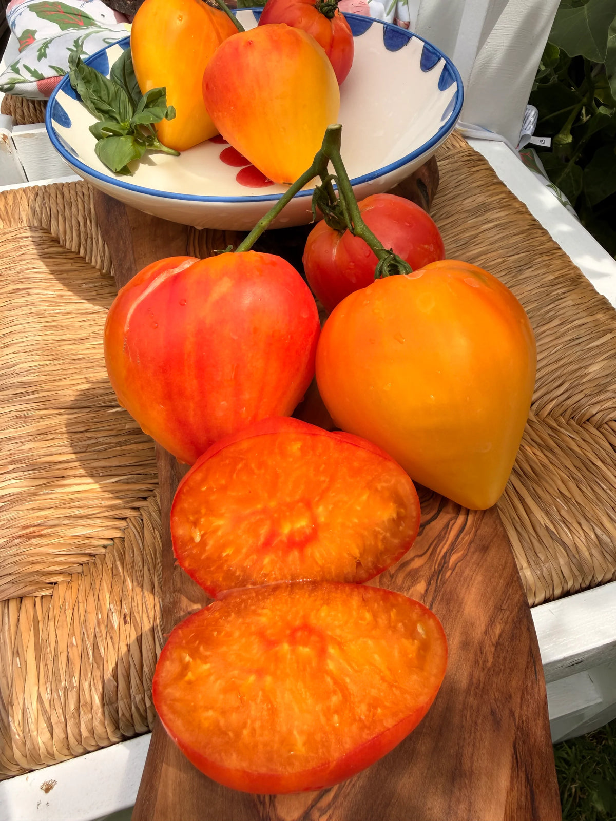 MINUSINSK ORANGE