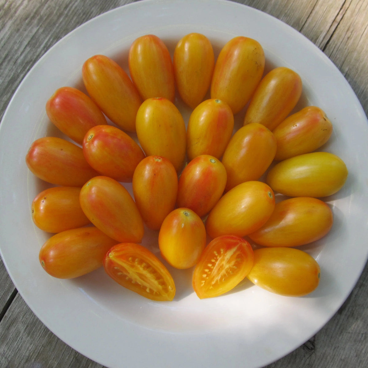 Artisan Tomatoes BLUSH