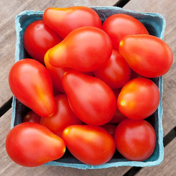 Red Pear TOMATO