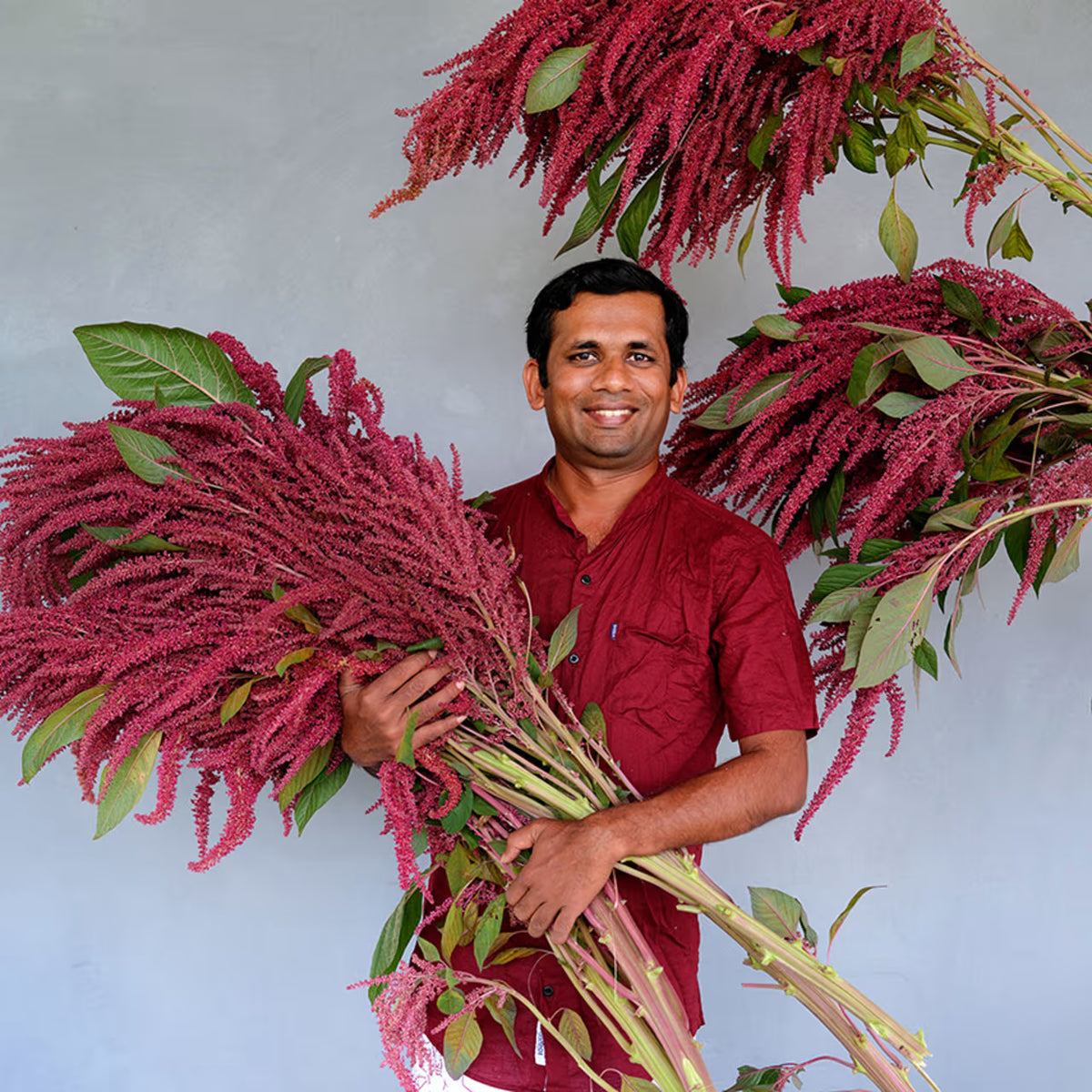 AMARANTH ELENA'S ROJO