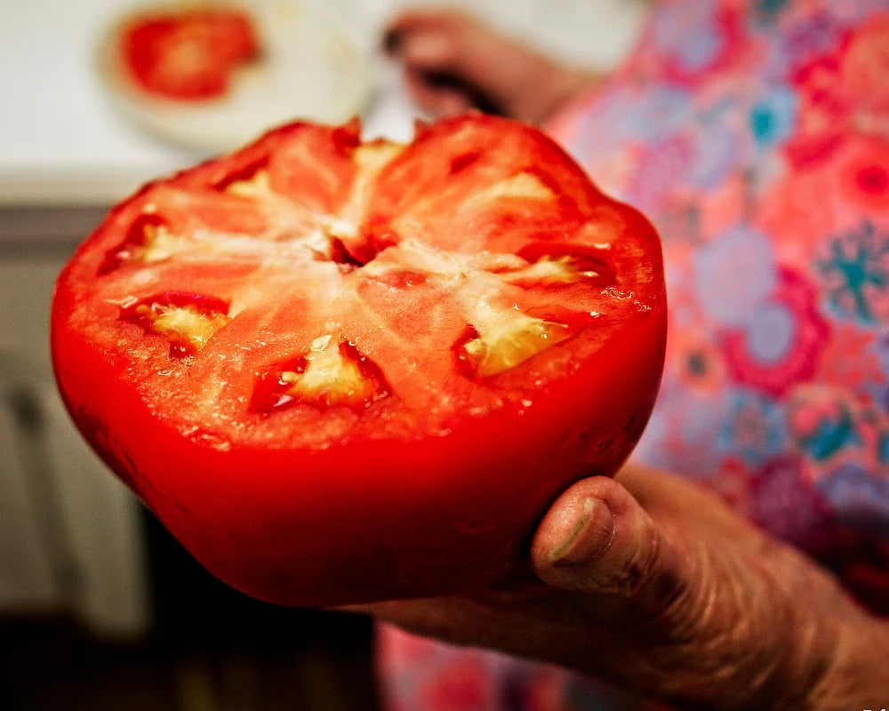 TOMATO CLASSIG BEEESTEAK