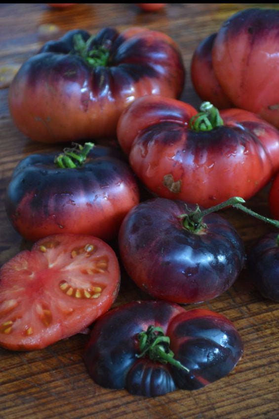 TOMATO BLUE BEAUTY