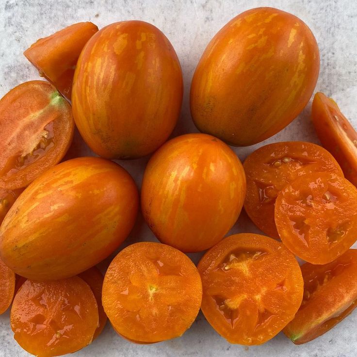 TOMATO APrICOT ZEBRA