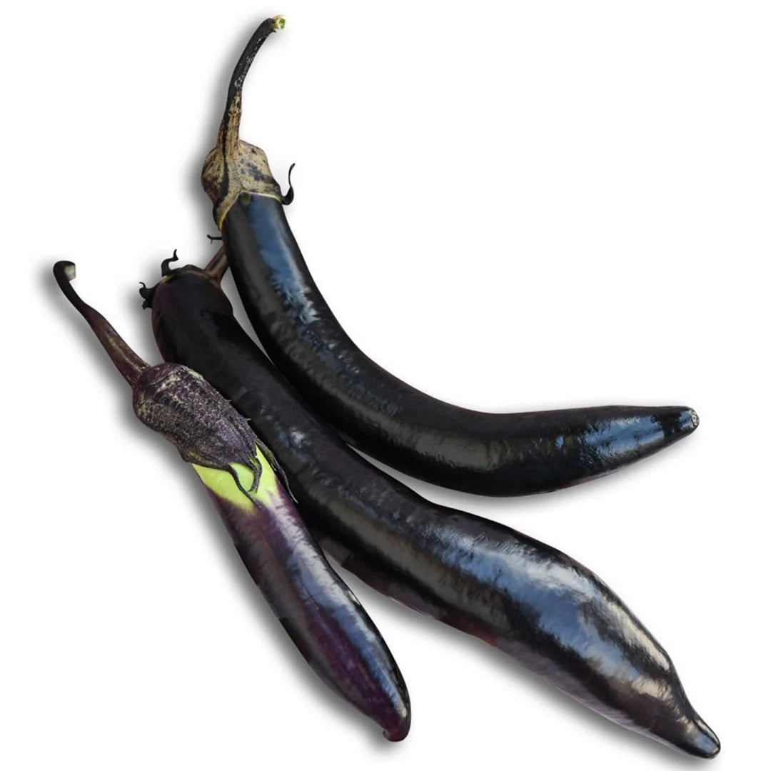 EGGPLANT NAGASAKI LONG