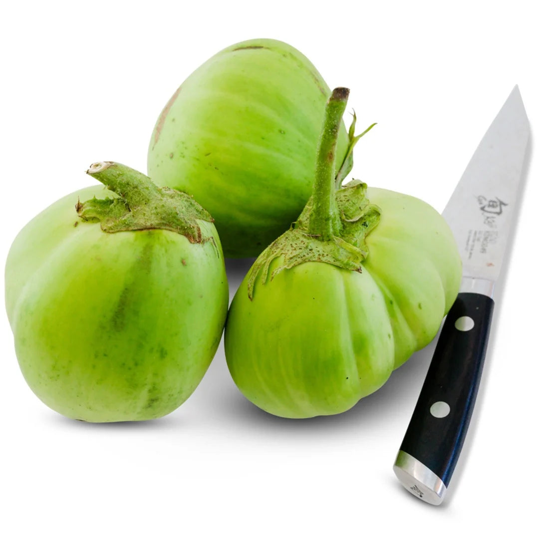 Eggplant Saitama AO Daimaru