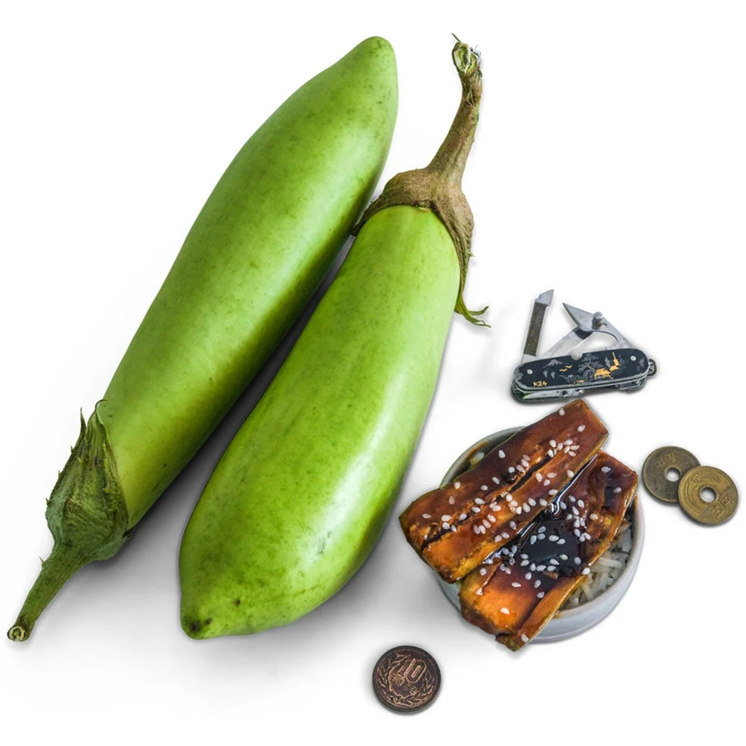 Eggplant Satsuma Long