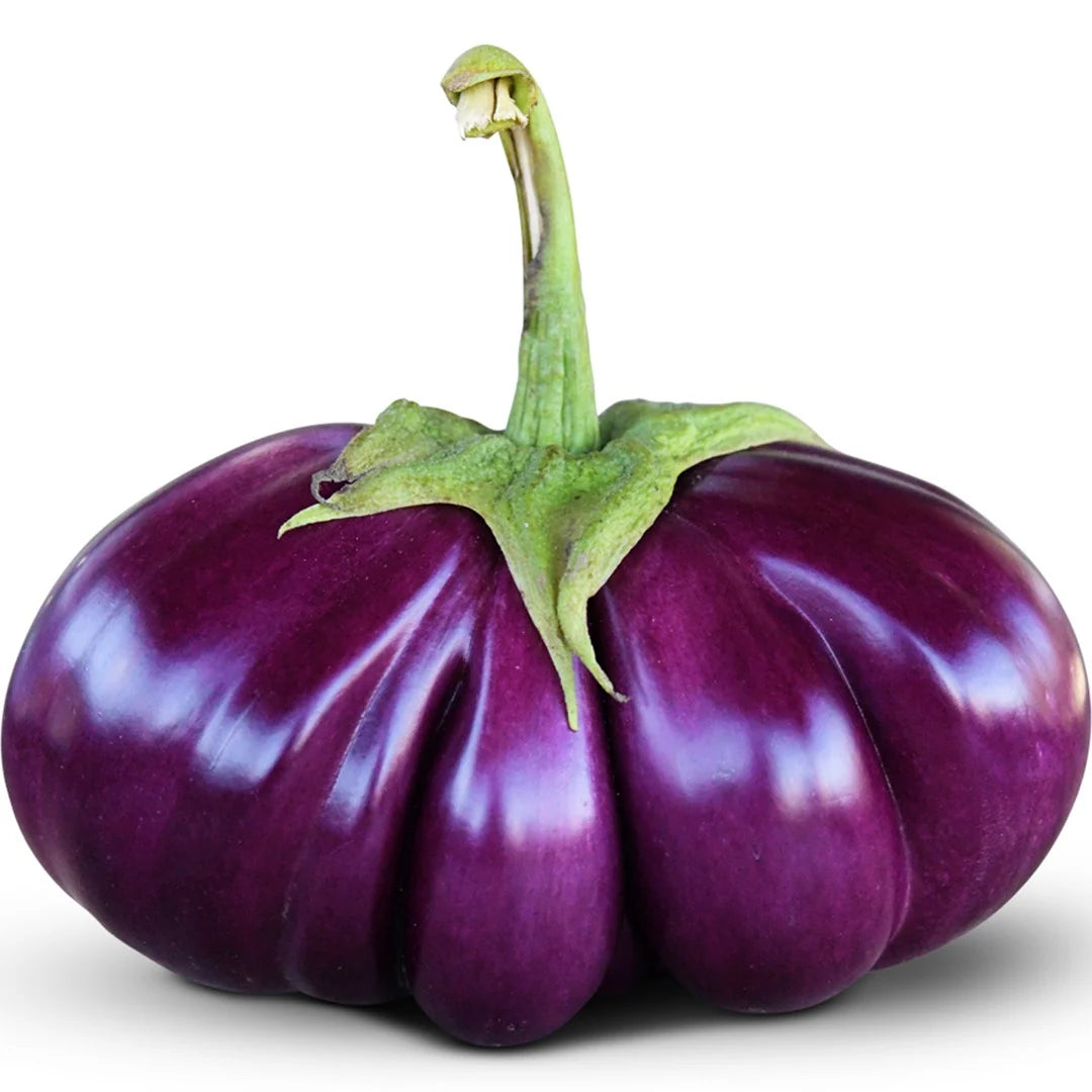 Eggplant Thai Purple Ribbed