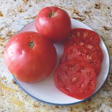 TOMATO GRANNY CanTRELL