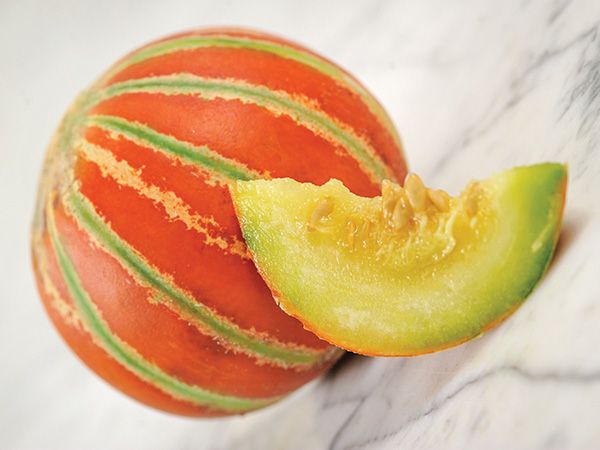 Kajari melon