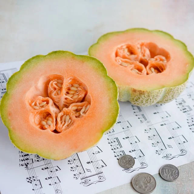 MELON GOLDEN JENNY