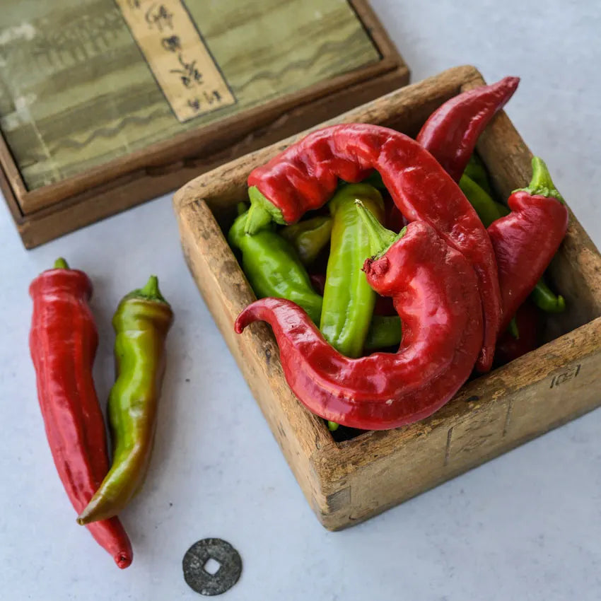 PEPPER MANGANJI