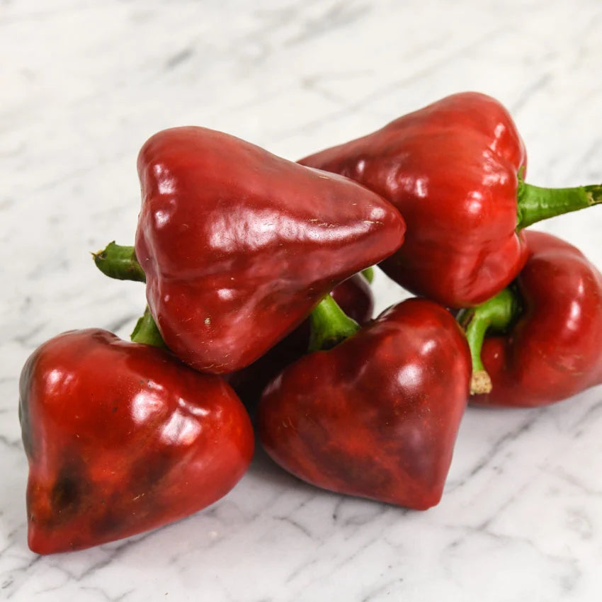 PEPPER LESYA