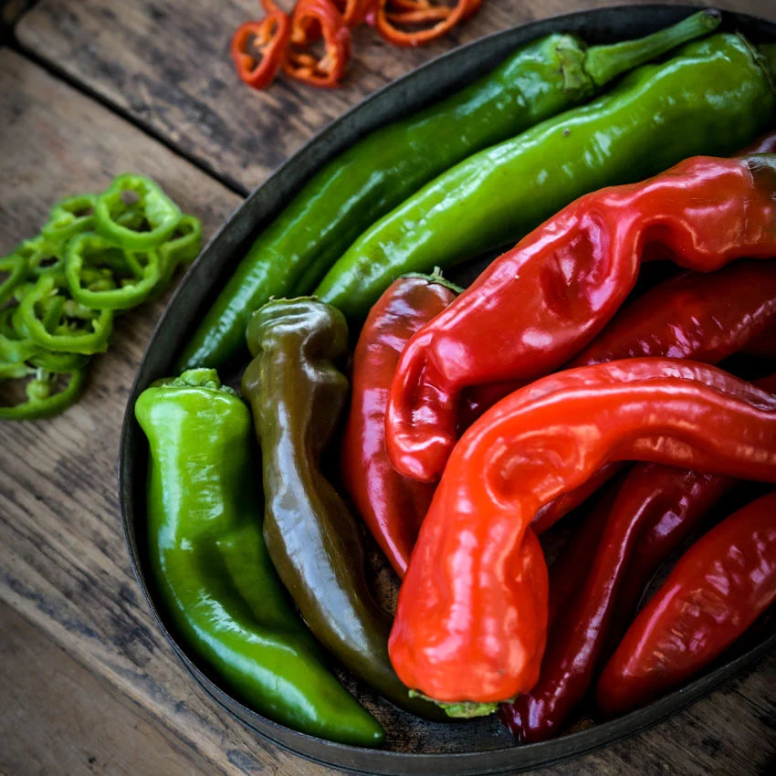 Sweet Pepper Txorixero