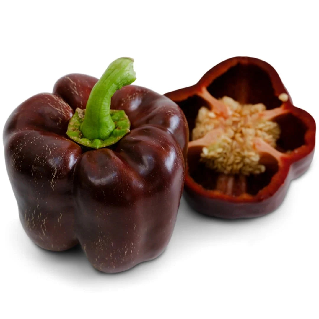 Sweet Pepper Chocolate Beauty