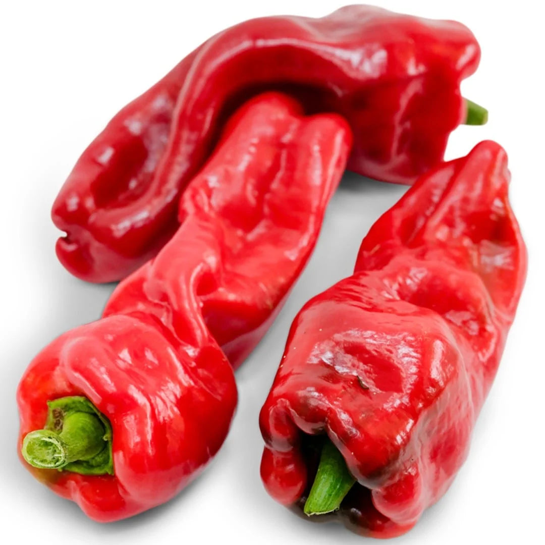 Sweet Pepper Melrose