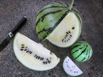 WATERMELON SILVER YAMATO