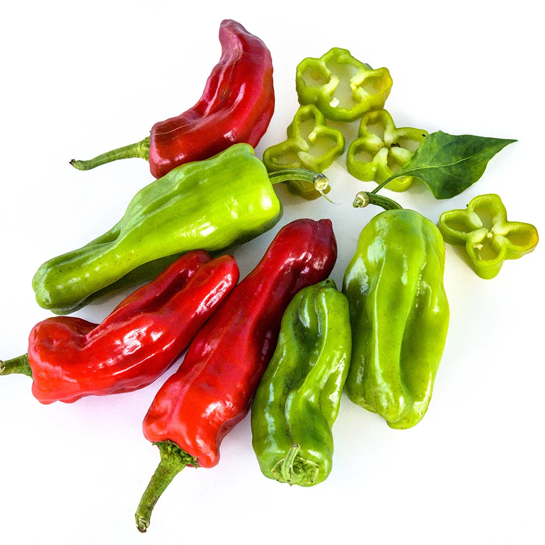 Hot Pepper Aleppo