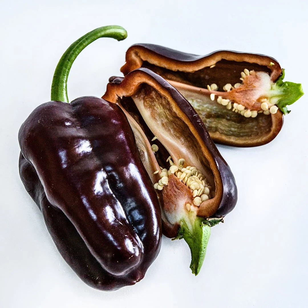 PEPPER SWEET CHOCOLATE