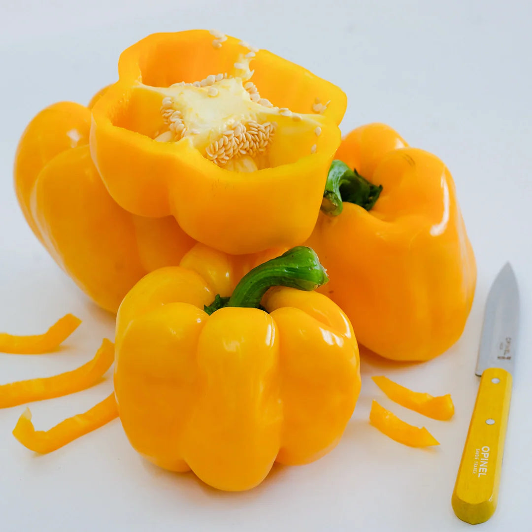 Sweet Pepper Seeds, Goldenmane Lion