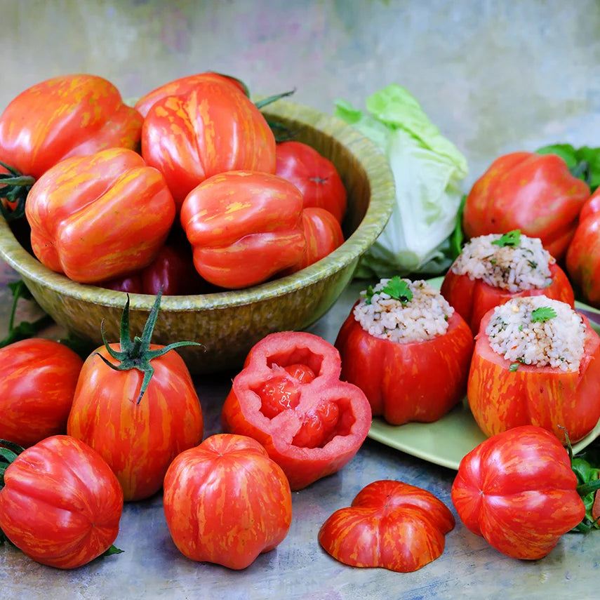TOMATO GET STUFFED