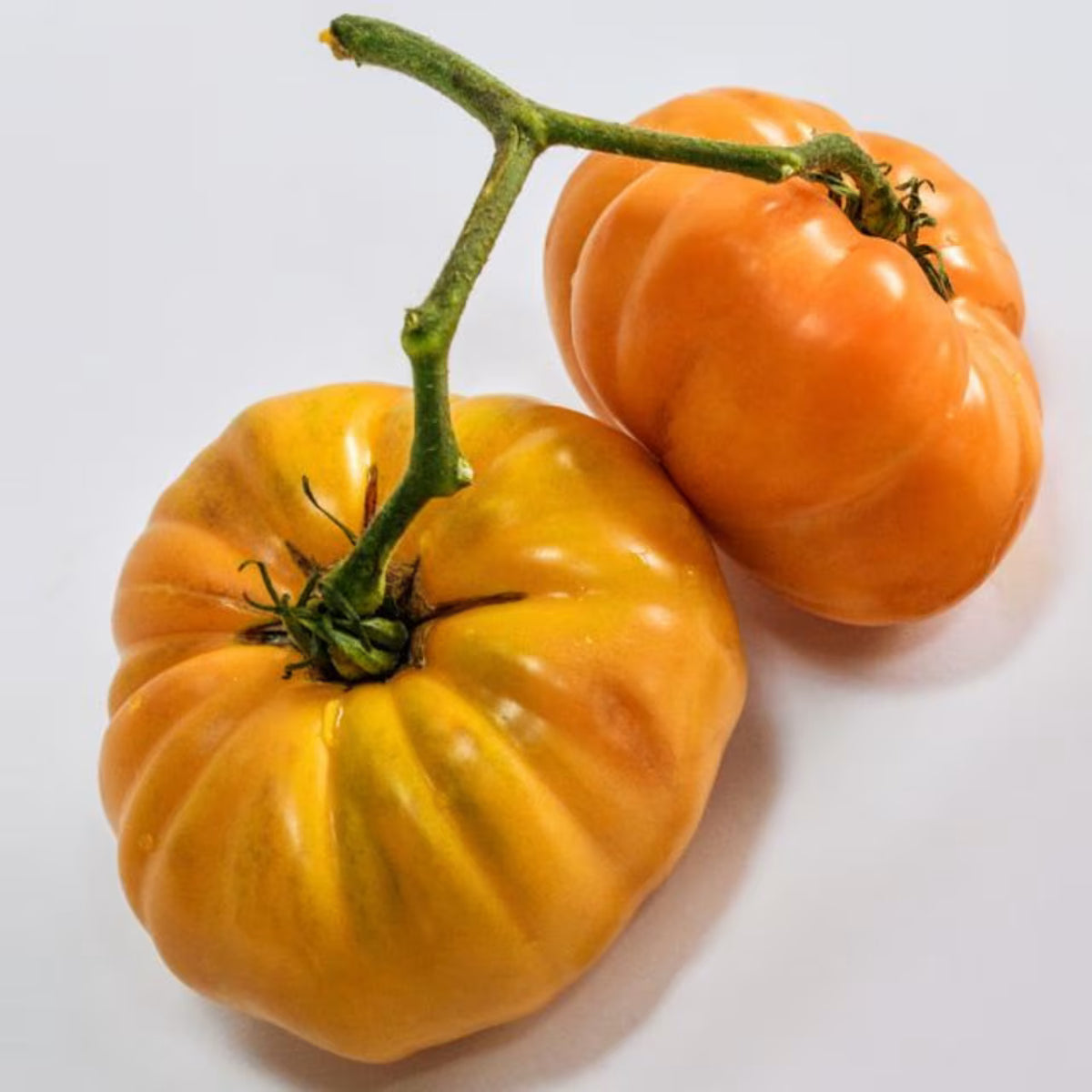 tOMATO KELLOGG'S BREAKFAST