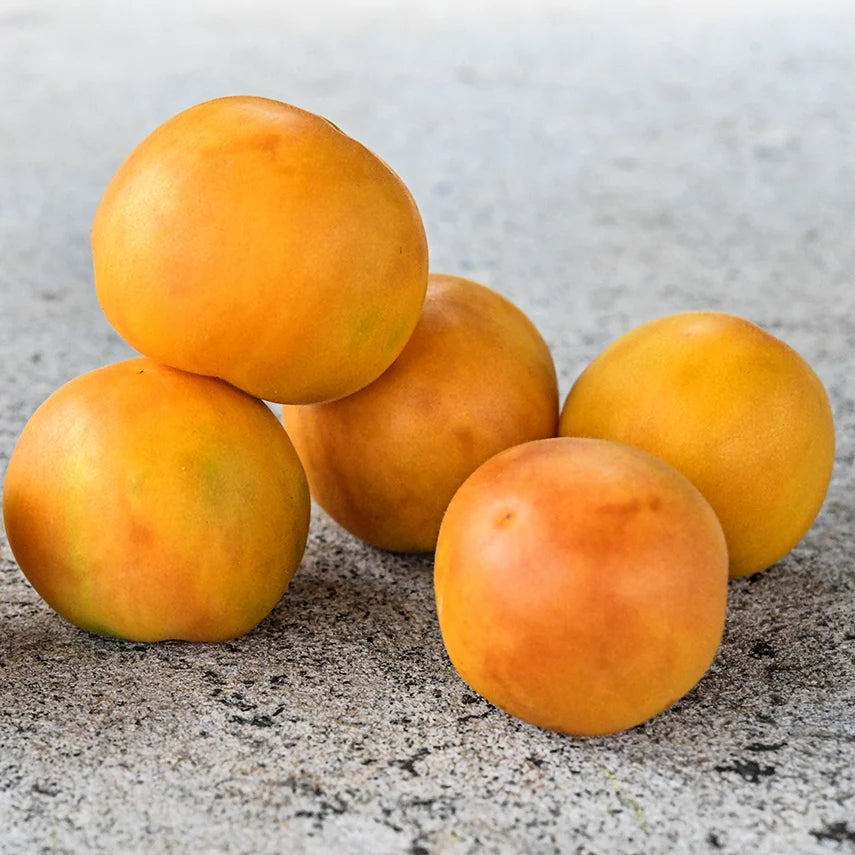 Tomato Orange Peach