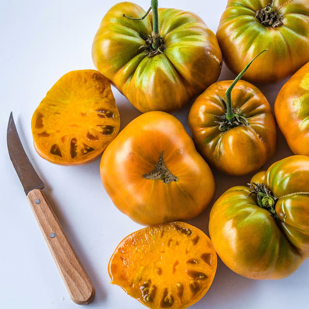 Tomato Uluru Ochre