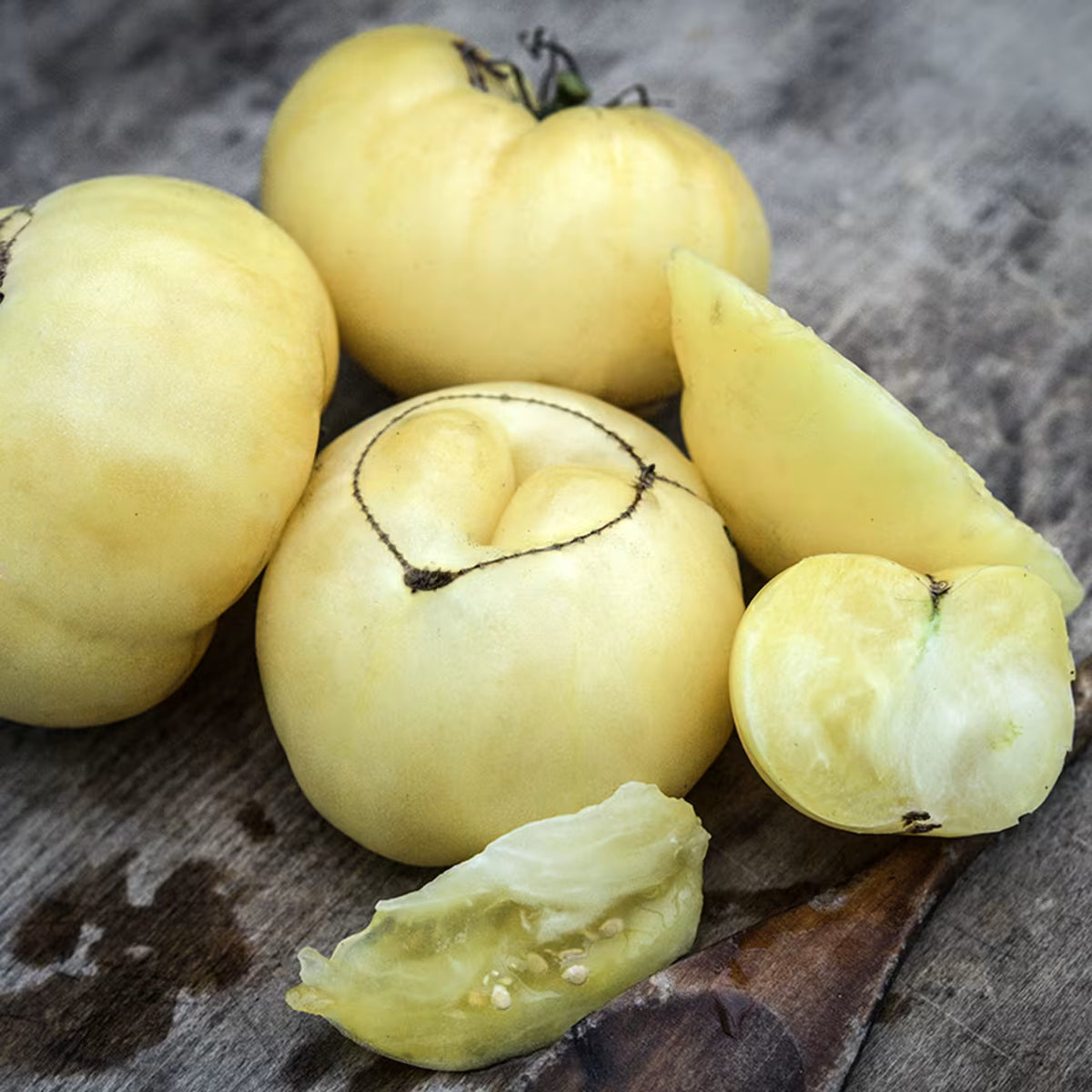 TOMATO WHITE TOMESOL