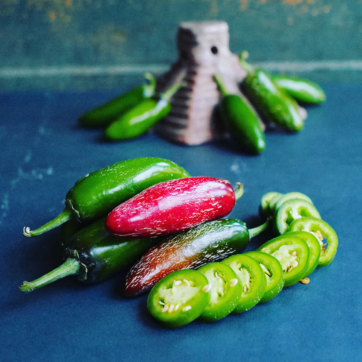 Zapotec jalapeño