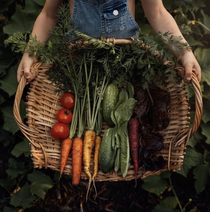 vegetable