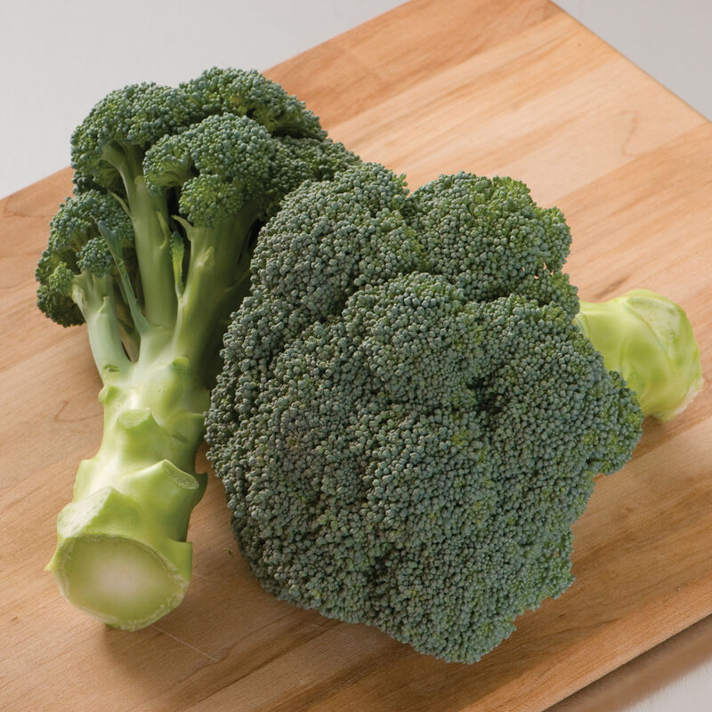 Hybrid Broccoli IMPERIAL Fi