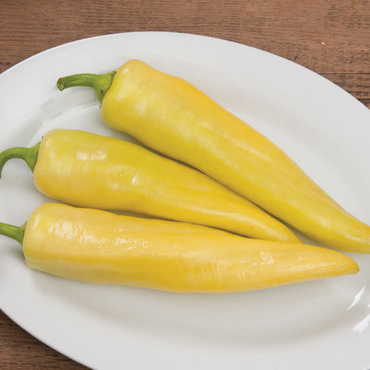 Goddess (F1) Banana Pepper