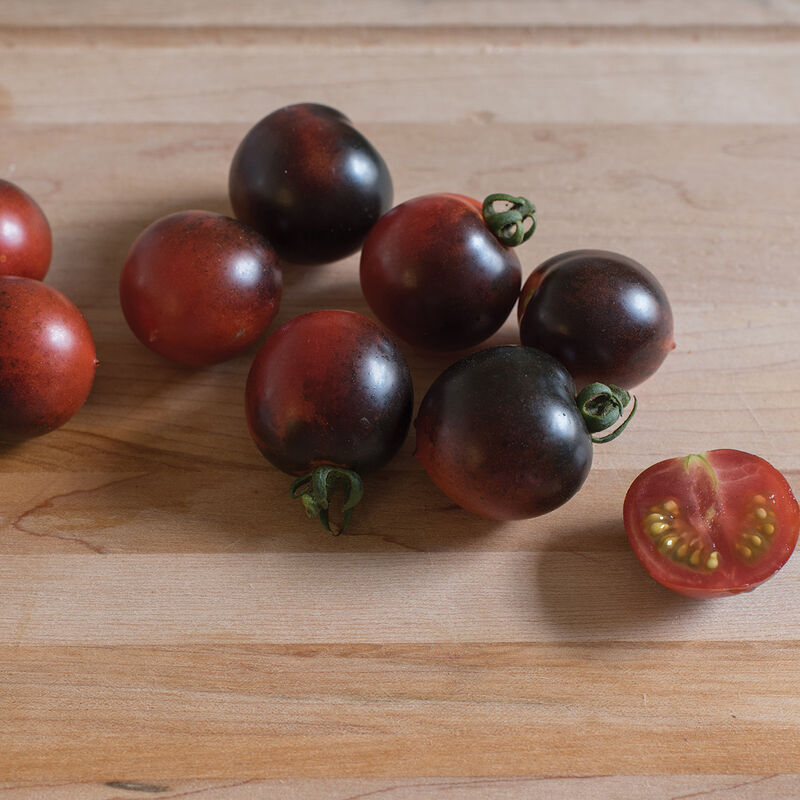 Indeterminate Tomatoes SC* INDIGO CHERRY DROPS