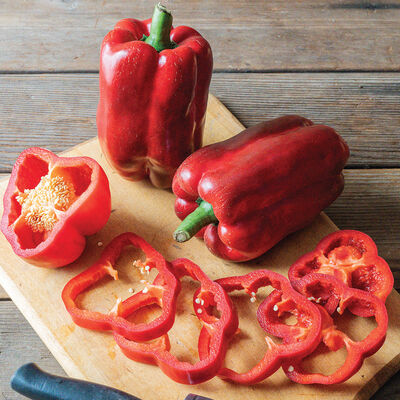 Hybrid Bell Peppers FRODO F1