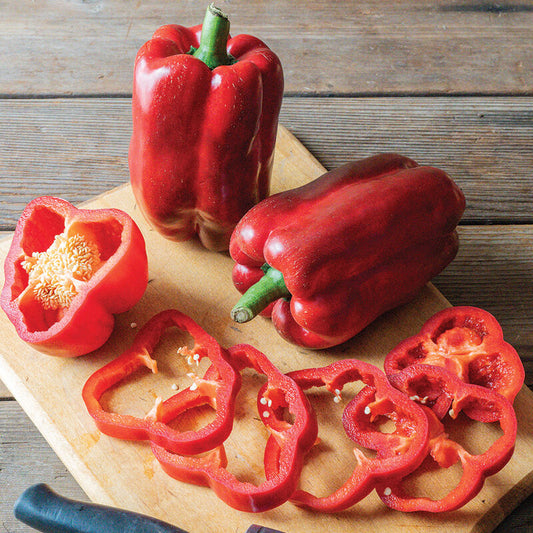 Frodo (F1) Bell Pepper