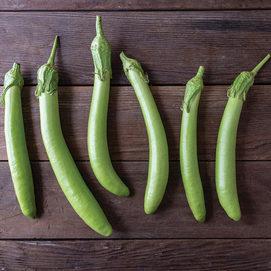 Hybrid Asian Eggplant SUMMER EMERALD F1,