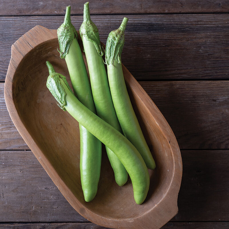 Hybrid Asian Eggplant SUMMER EMERALD F1,