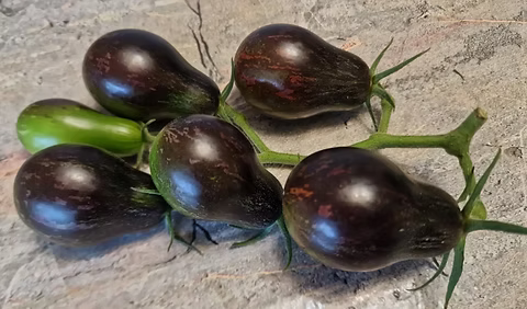 Black Keyes