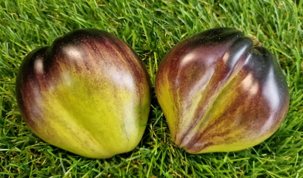 Rebella's Green Hear