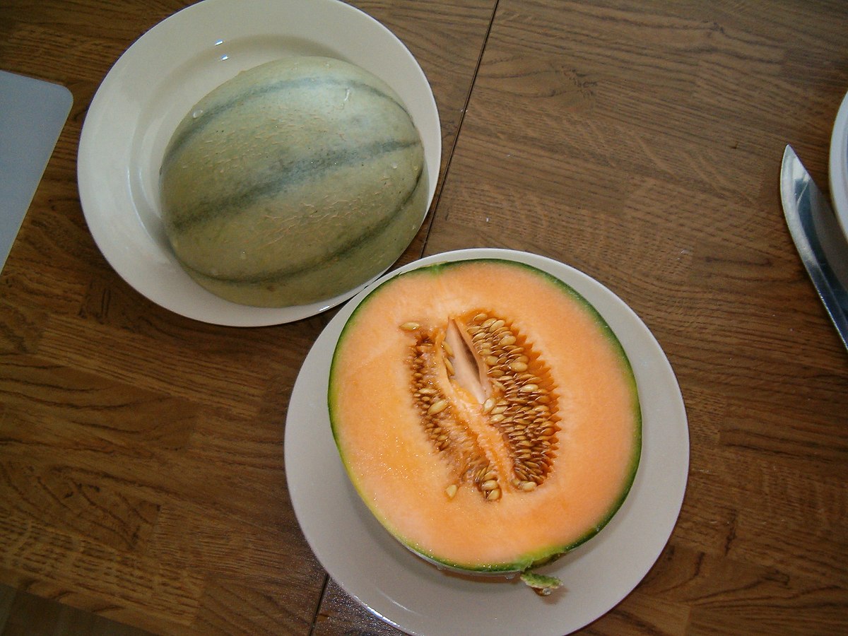 Charentais melon