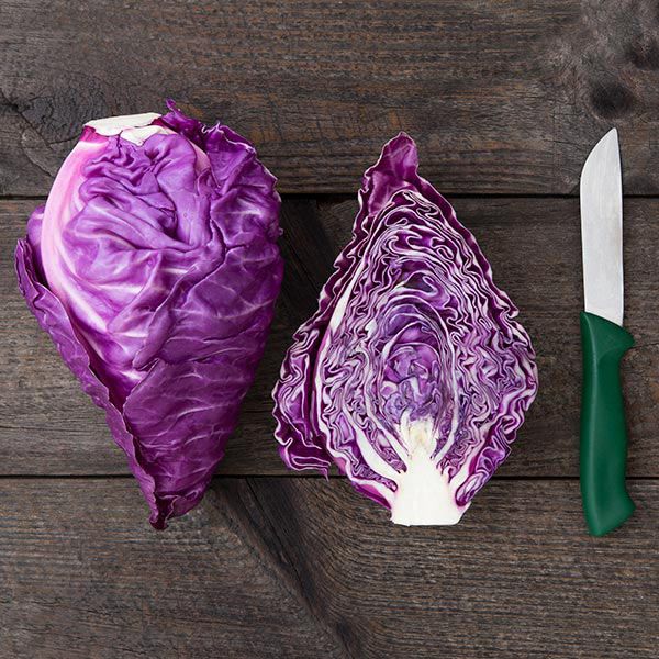 CABBAGE KALIBOS