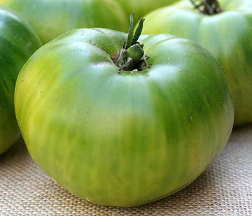 tomato GREEn Giant