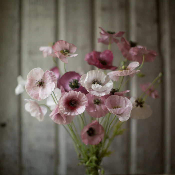 POPPY MOTHER OF PEARL