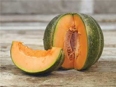 MELON PETIT GRIS DE RENNES